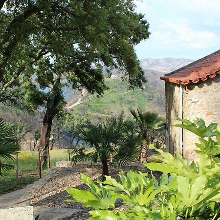 Oak Cottage Ferreira do Zêzere Buitenkant foto