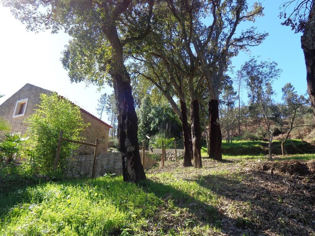 Oak Cottage Ferreira do Zêzere Buitenkant foto